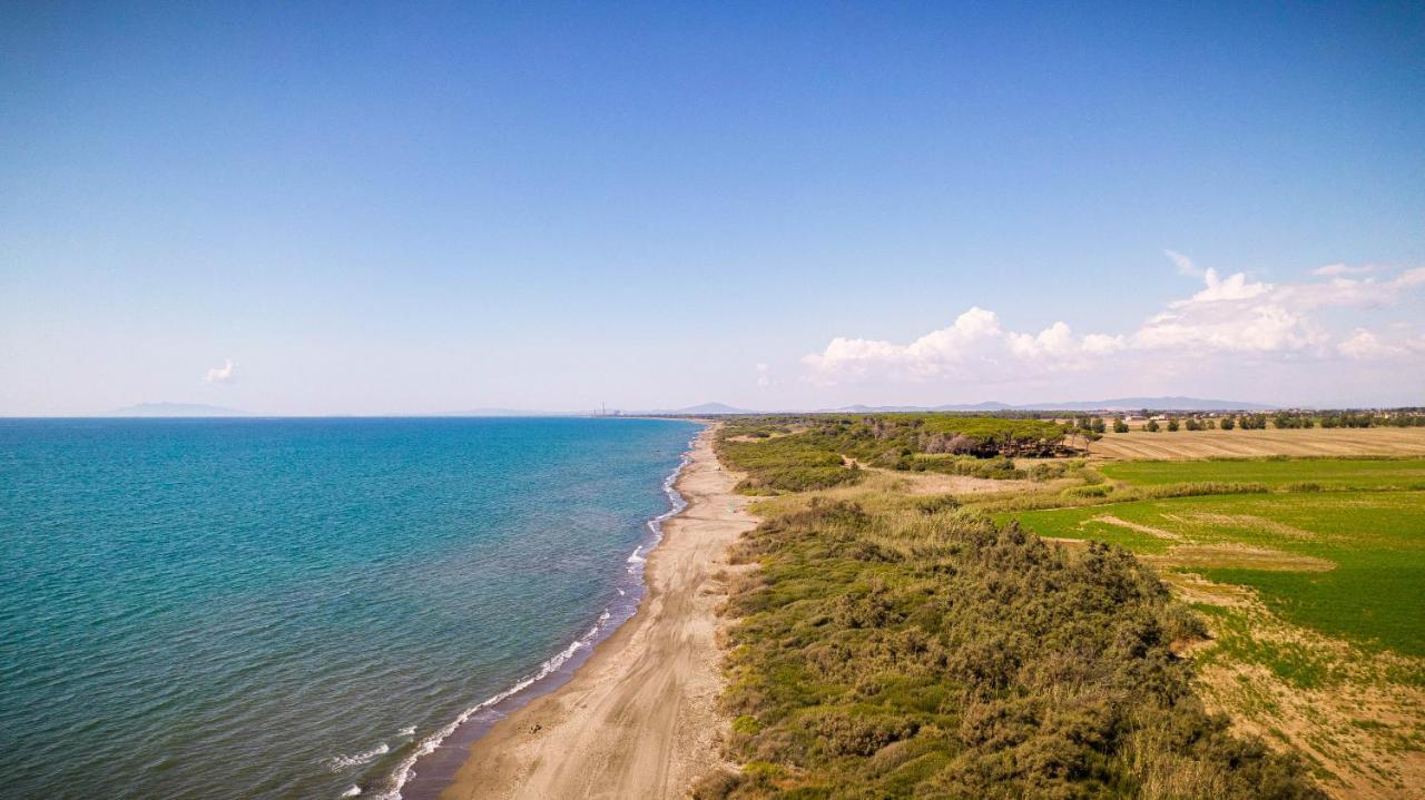 Podere Giovanni Olivo Tarquinia Exteriér fotografie